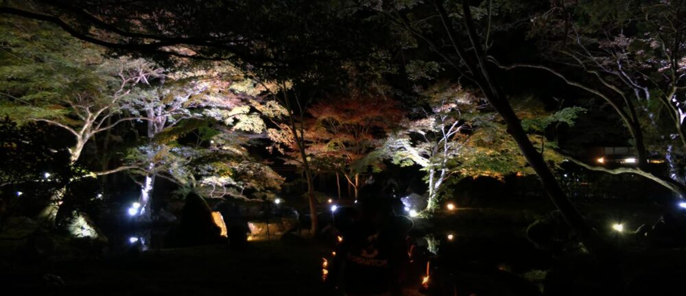 北畠神社　逆さ紅葉